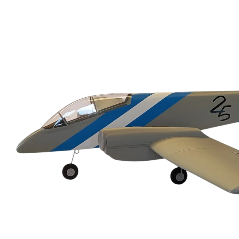 IA58 Pucara rc aeromodelismo 25 aniversario